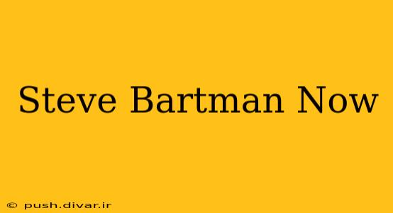 Steve Bartman Now
