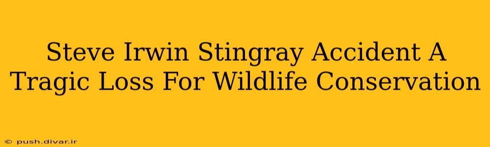 Steve Irwin Stingray Accident A Tragic Loss For Wildlife Conservation