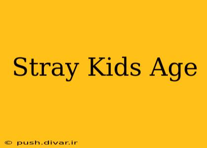 Stray Kids Age