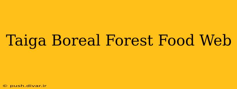 Taiga Boreal Forest Food Web