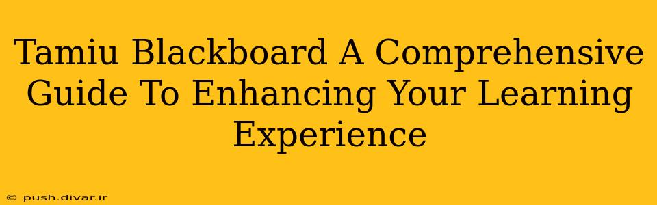 Tamiu Blackboard A Comprehensive Guide To Enhancing Your Learning Experience