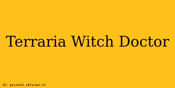 Terraria Witch Doctor