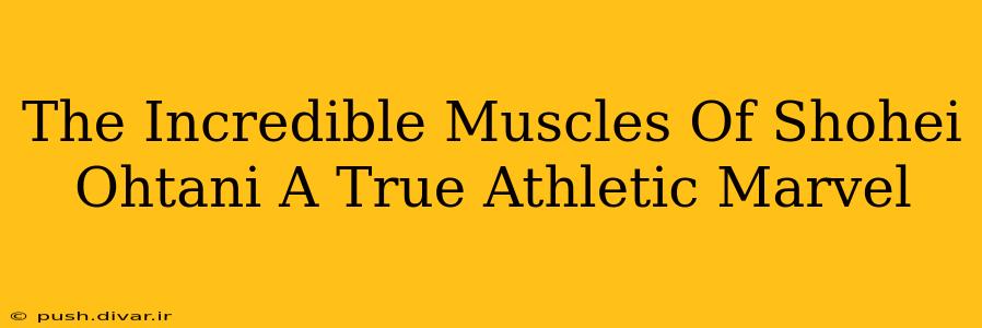 The Incredible Muscles Of Shohei Ohtani A True Athletic Marvel