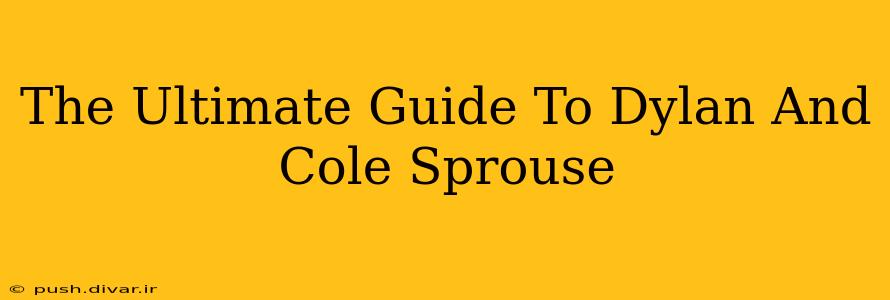 The Ultimate Guide To Dylan And Cole Sprouse
