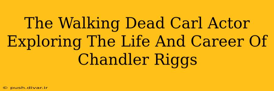 The Walking Dead Carl Actor Exploring The Life And Career Of Chandler Riggs