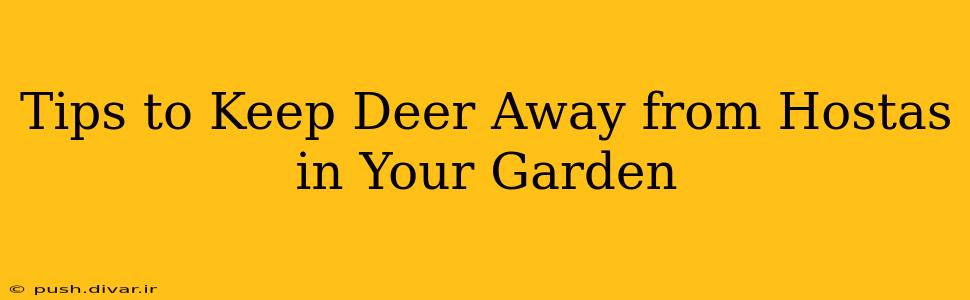 Tips to Keep Deer Away from Hostas in Your Garden