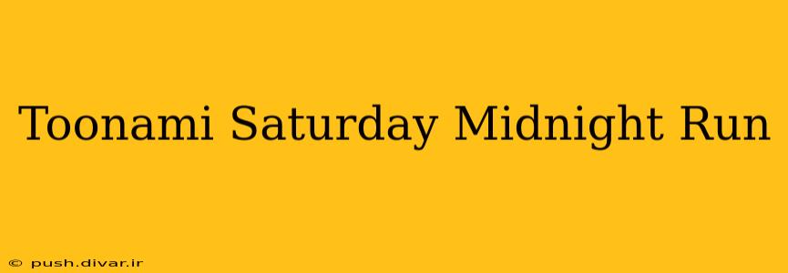 Toonami Saturday Midnight Run