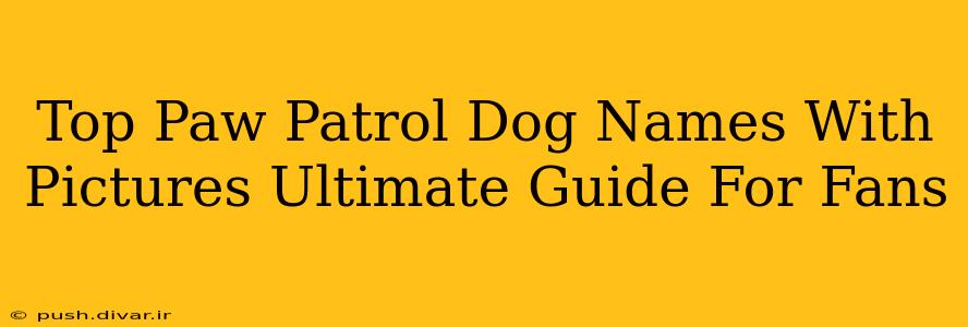 Top Paw Patrol Dog Names With Pictures Ultimate Guide For Fans