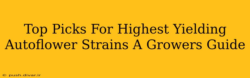 Top Picks For Highest Yielding Autoflower Strains A Growers Guide