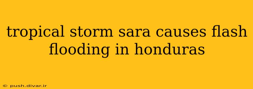 tropical storm sara causes flash flooding in honduras