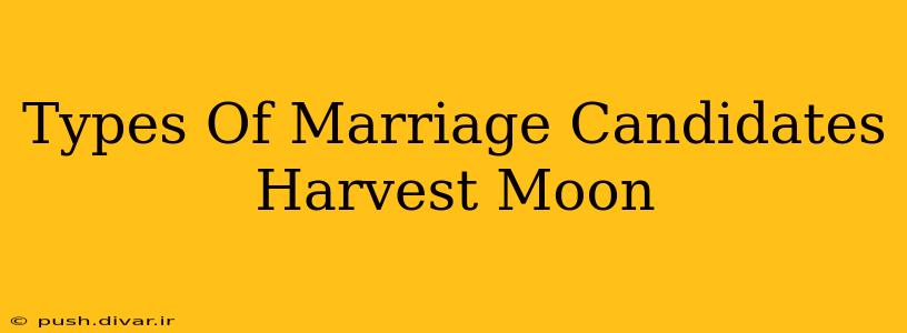 Types Of Marriage Candidates Harvest Moon