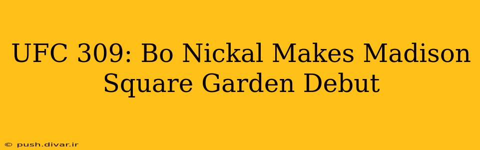 UFC 309: Bo Nickal Makes Madison Square Garden Debut