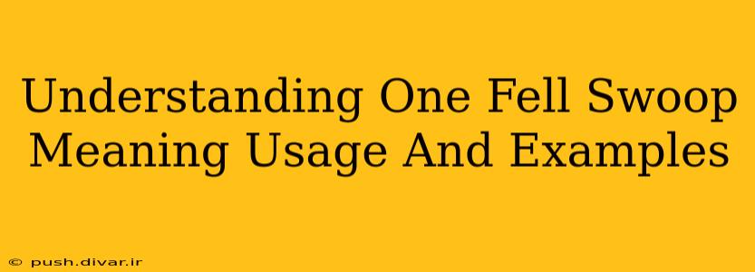 Understanding One Fell Swoop Meaning Usage And Examples