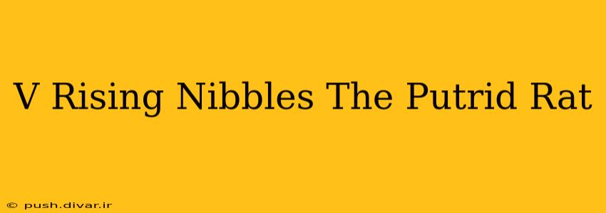 V Rising Nibbles The Putrid Rat