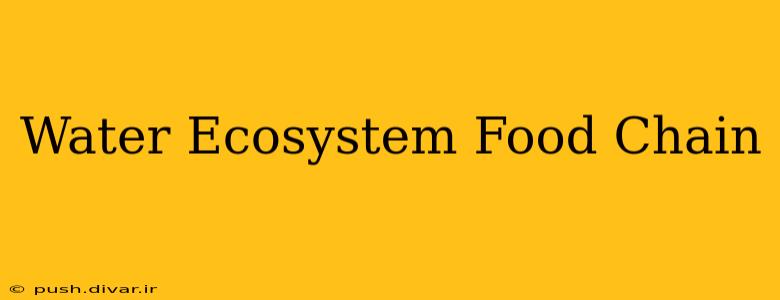 Water Ecosystem Food Chain