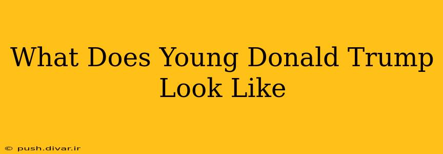 What Does Young Donald Trump Look Like