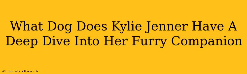 What Dog Does Kylie Jenner Have A Deep Dive Into Her Furry Companion