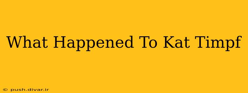 What Happened To Kat Timpf