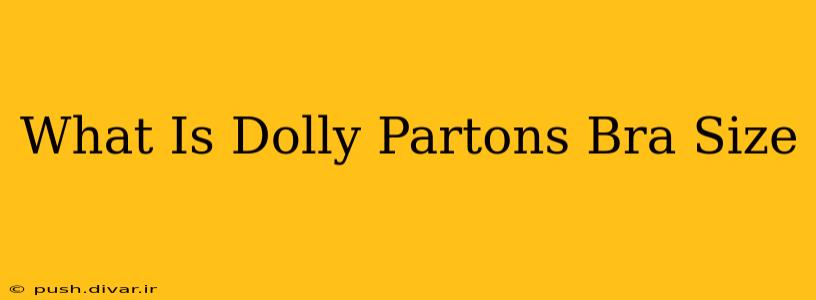 What Is Dolly Partons Bra Size