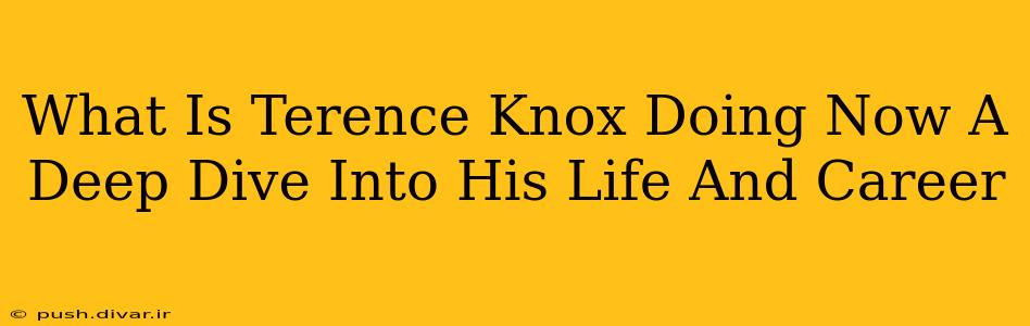 What Is Terence Knox Doing Now A Deep Dive Into His Life And Career