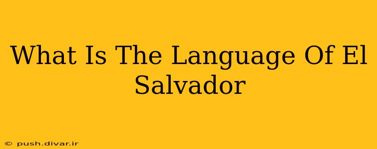 What Is The Language Of El Salvador