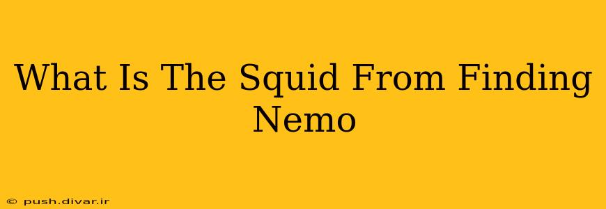 What Is The Squid From Finding Nemo