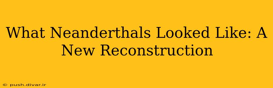 What Neanderthals Looked Like: A New Reconstruction