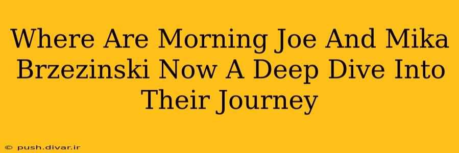 Where Are Morning Joe And Mika Brzezinski Now A Deep Dive Into Their Journey