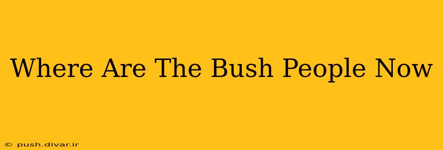 Where Are The Bush People Now