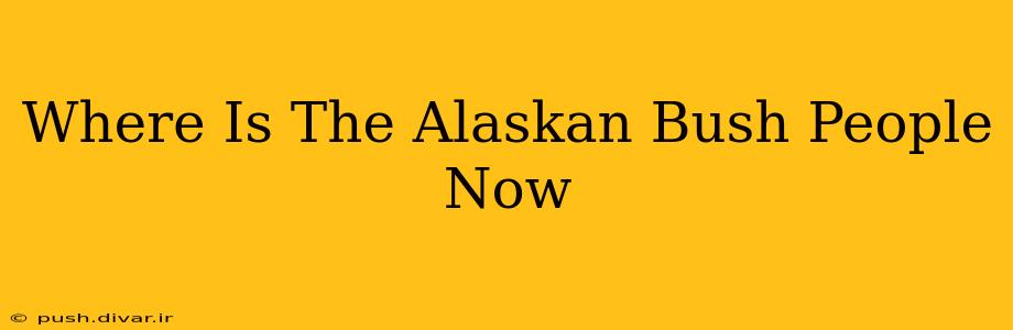 Where Is The Alaskan Bush People Now