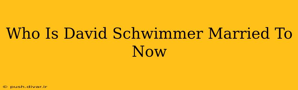 Who Is David Schwimmer Married To Now