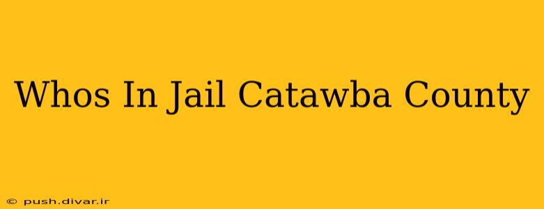 Whos In Jail Catawba County