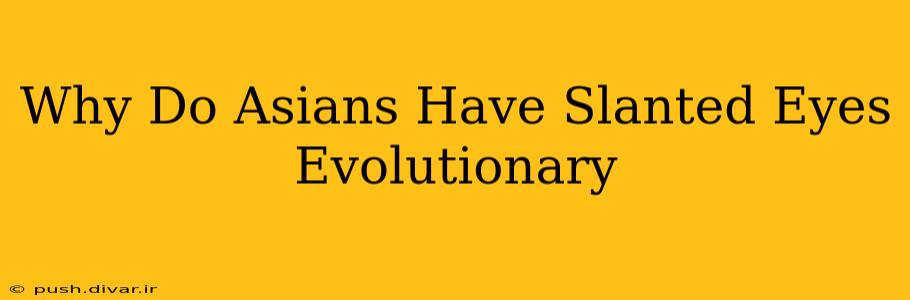 Why Do Asians Have Slanted Eyes Evolutionary