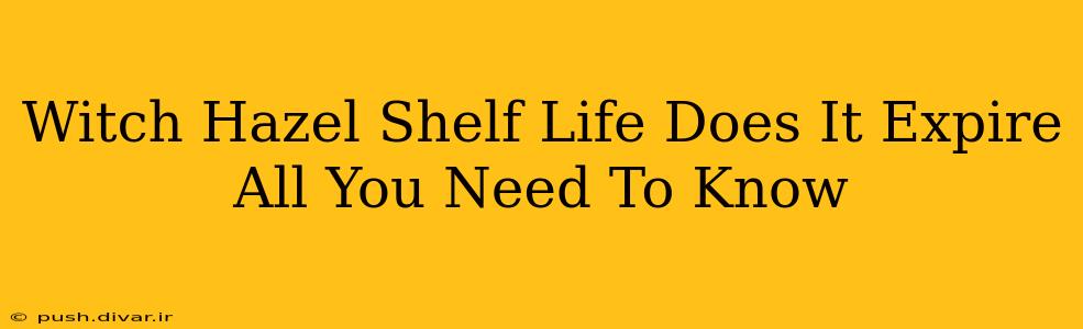 Witch Hazel Shelf Life Does It Expire All You Need To Know